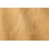 Aligo Group фото